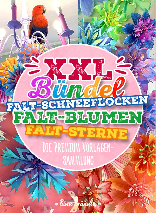 Vorschaubild 1